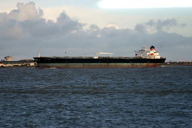 Searanger - estuaire de la Loire - 29 novembre 2009.JPG